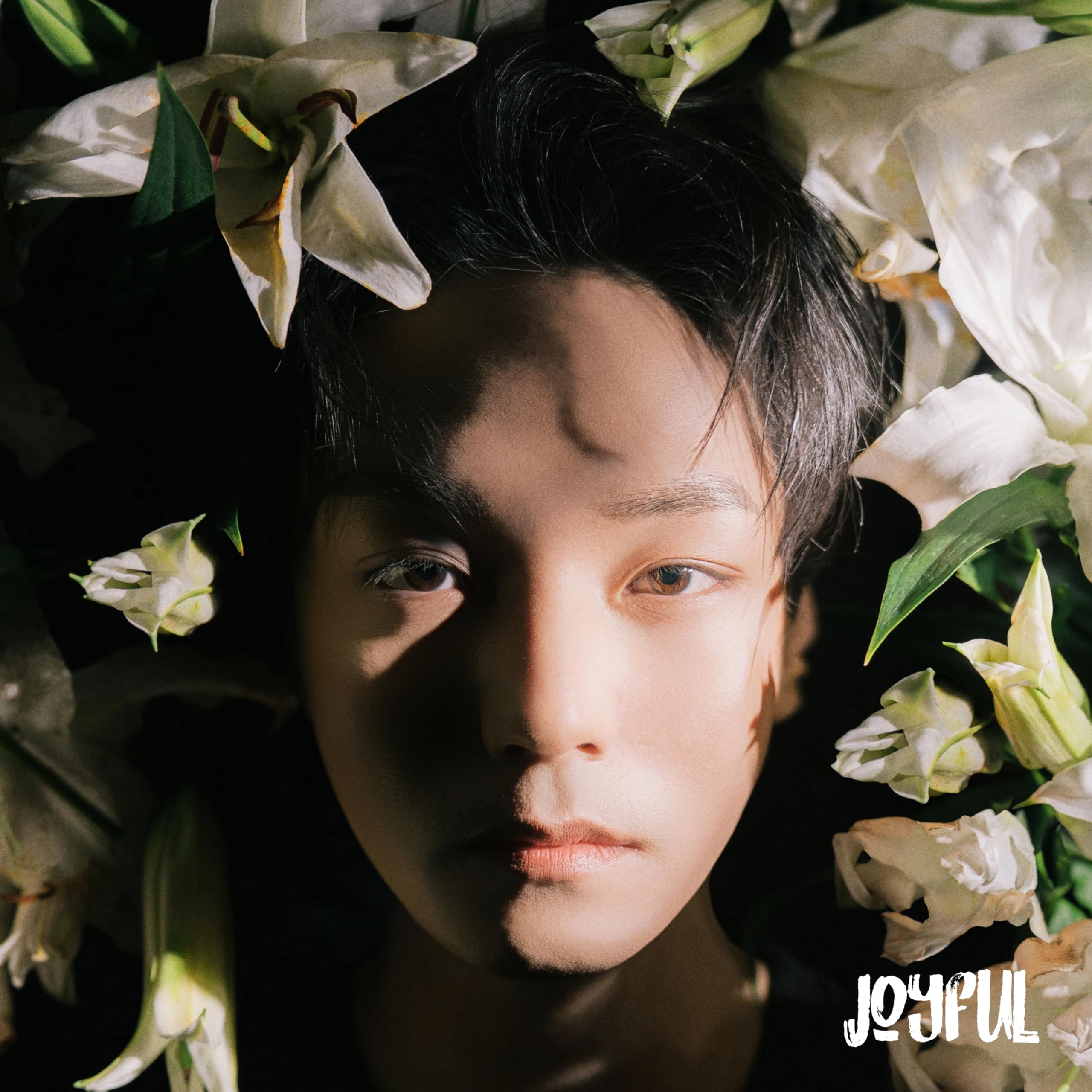 Image Cover